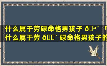 什么属于劳碌命格男孩子 🪴 「什么属于劳 🐴 碌命格男孩子的特征」